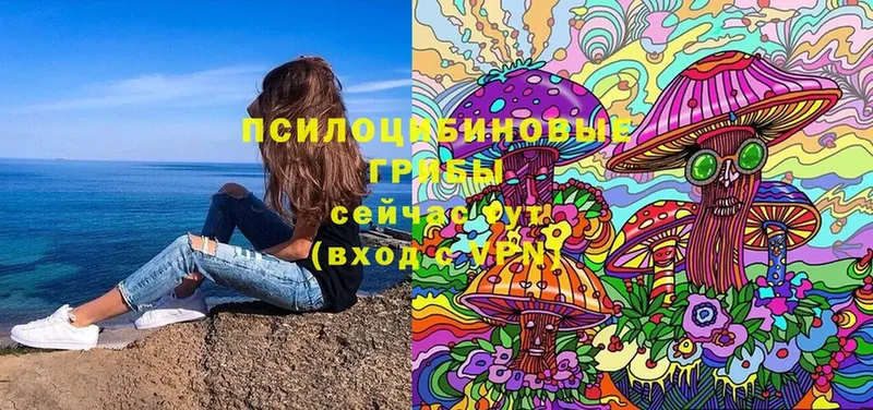 купить  сайты  Североморск  Псилоцибиновые грибы Cubensis 